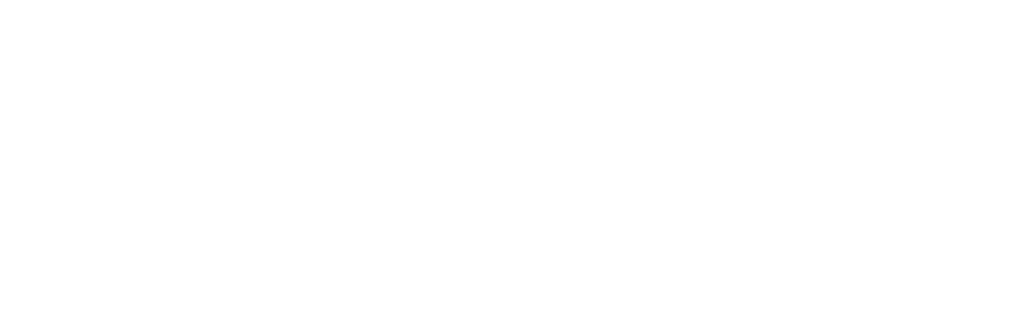 Bølgen Invest logo